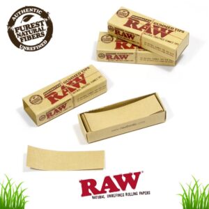 RAW | Perforated Gummed Natural Tips | Bundle of 3